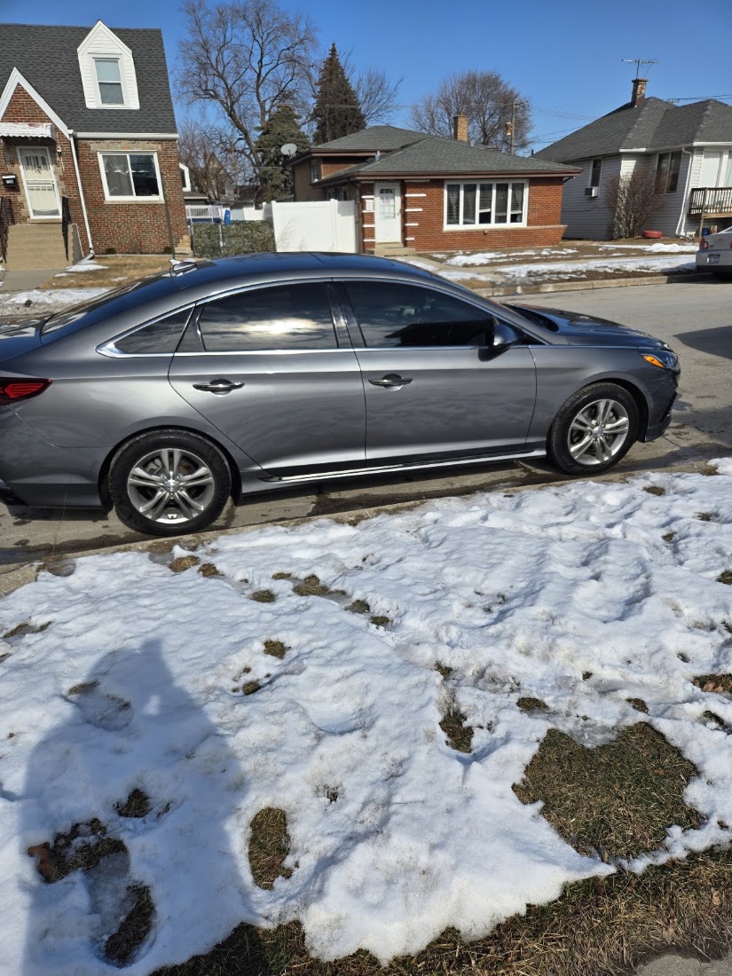 Auto Detailing project